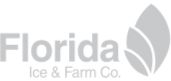 Florida logo